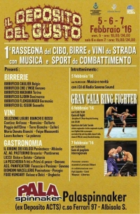 Gran Gala Ring Fighter